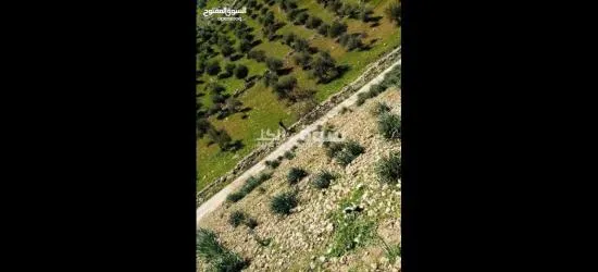 أرض للبيع على حدود أراضي عمان في مرصع