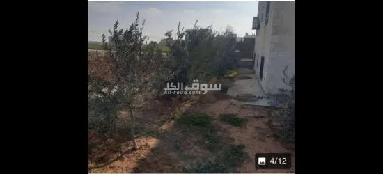 للبيع - 3