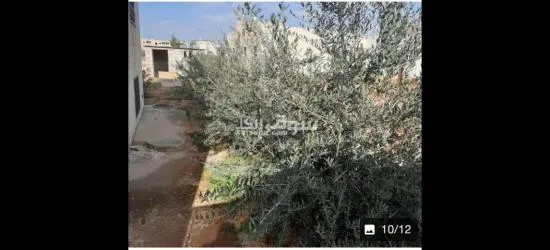 للبيع - 6