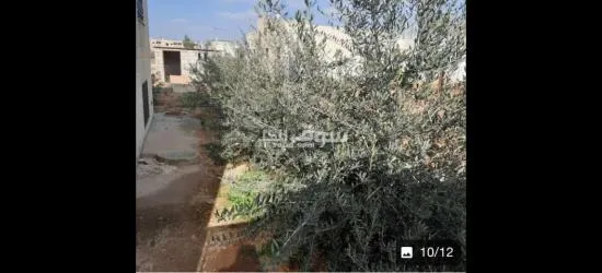 للبيع - 7