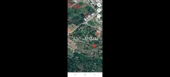 أرض للبيع في عجلون - رأس منيف