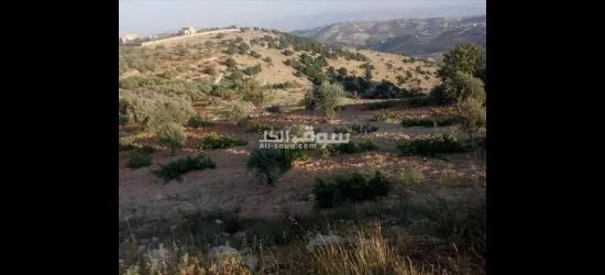 مزرعه للبيع