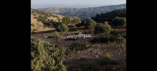 مزرعه للبيع - 3