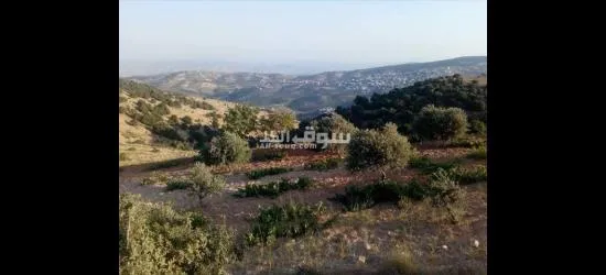 مزرعه للبيع - 5