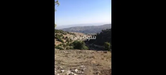 مزرعه للبيع - 9