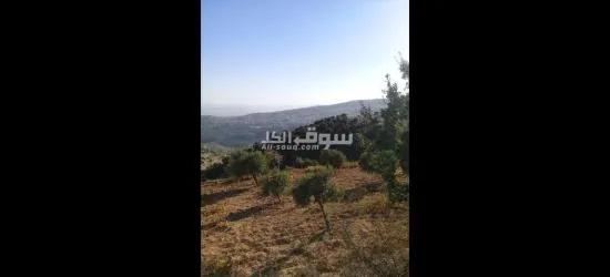 مزرعه للبيع - 12