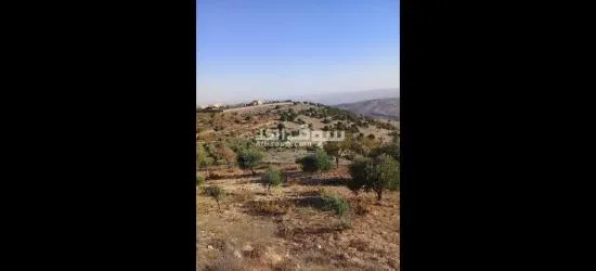 مزرعه للبيع - 13