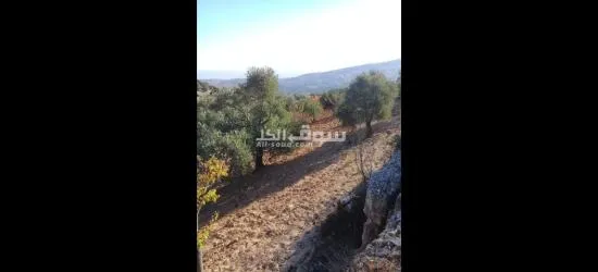 مزرعه للبيع - 14