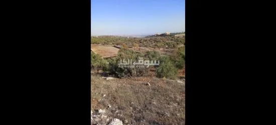 مزرعه للبيع - 17