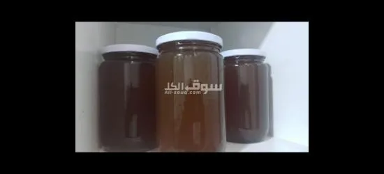 عسل الشوكيات