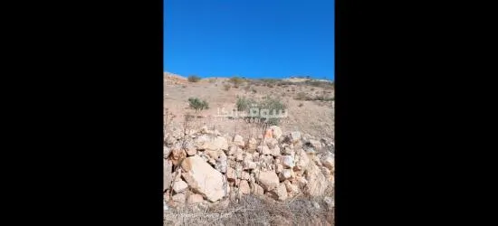 ارض في عجلون منطقة راجب مفروزه في قوشان مستقل مزروعه جزء منها شجر الزيتون بعل - 7