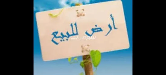 قطعة أرض في منطقه جبيهه - 3