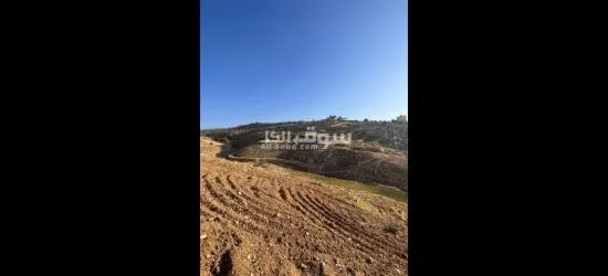 ارض للبيع الثغره بدر الجديده ٦ دونمات و٣٠٠ متر
