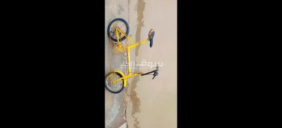 سكليت ممتاز - 6