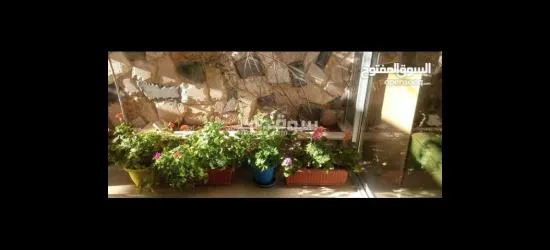 شقة في طريق المطار بجانب جامعة البتراء تسوية للبيع