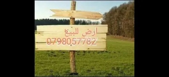 ارض في البنيات 1 دونوم غير مفروزه ولكن موقعها معروف و مشیکه