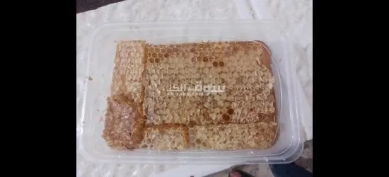 عسل بلدي مكفول 2025