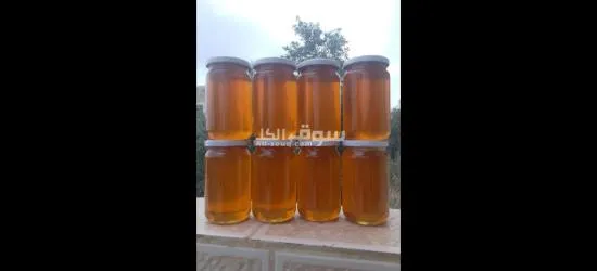 عسل بلدي مكفول 2025 - 2