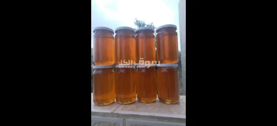عسل بلدي مكفول 2025 - 3
