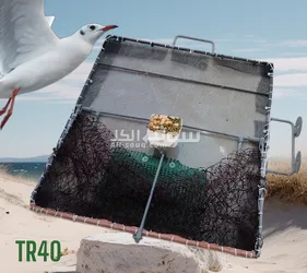 عمان ضاحية الياسمين