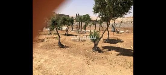 منطقة النقيرة - 6