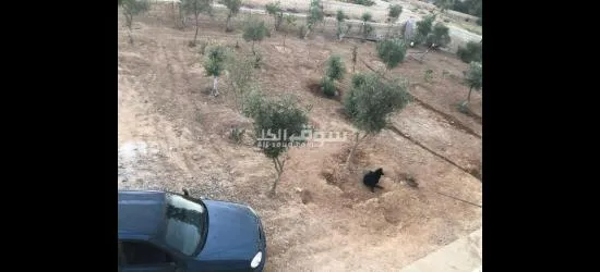 منطقة النقيرة - 7