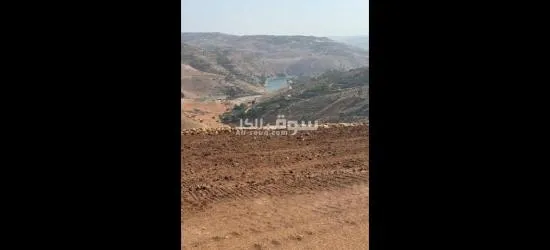 أراضي الاحلام - 3