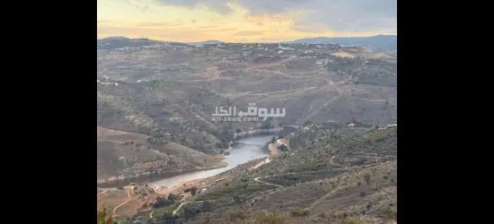 أراضي الاحلام - 4