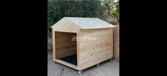 بيوت كلاب - 9