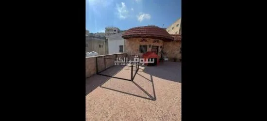 بيوت كلاب - 10