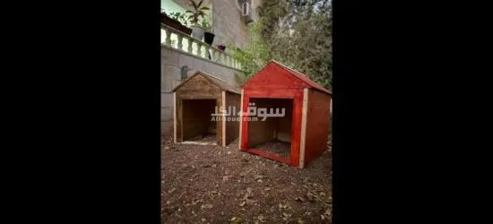 بيوت كلاب - 11