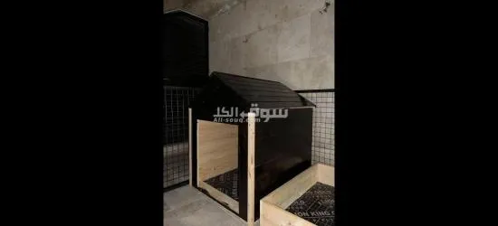 بيوت كلاب - 12