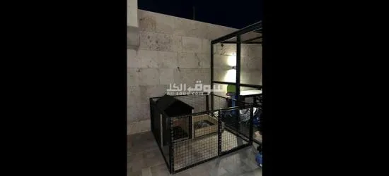 بيوت كلاب - 14