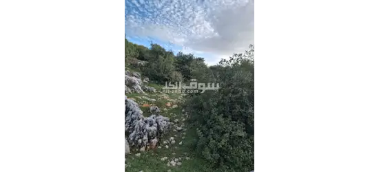 اراضي للبيع في عجلون