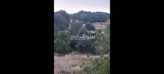 اراضي للبيع في عجلون - 2