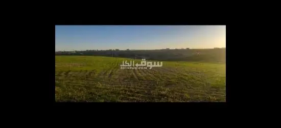 اراضي ذيبان فلحا - 2