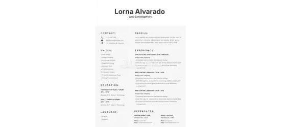 تصميم CV احترافي - 8