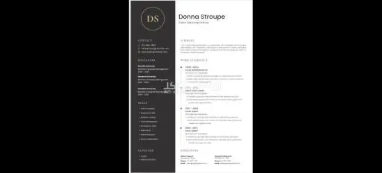 تصميم CV احترافي - 12