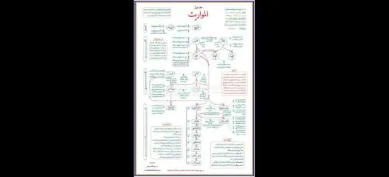 تدريس اللغة العربية والإنجليزية والتفسير والقرآن - 4