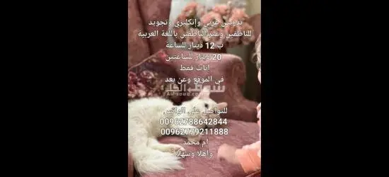 تدريس اللغة العربية والإنجليزية والتفسير والقرآن - 5