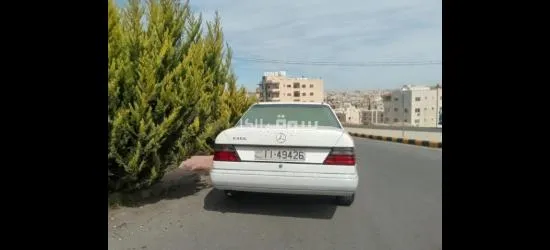 الياسمين - 3