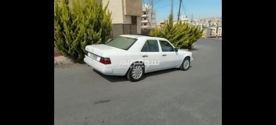 الياسمين - 7