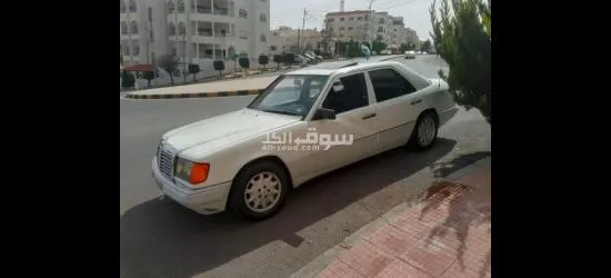 الياسمين - 12