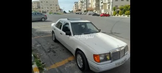 الياسمين - 13