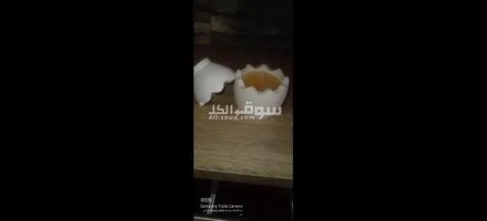انتيكا و مناظر - 6