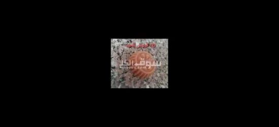 انتيكا و مناظر - 13