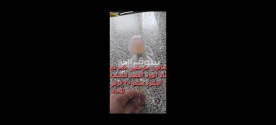 انتيكا و مناظر - 14